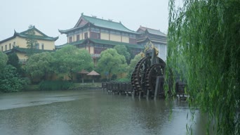 旅拍风景,配音,知识,树木,植物,全景