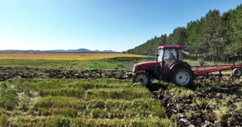 乡村生活,vlog,兵哥哥,大自然,植物,拖拉机,宝嘉,全景