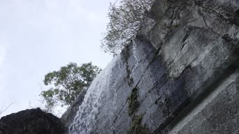 旅拍风景,配音,树木,植物,全景