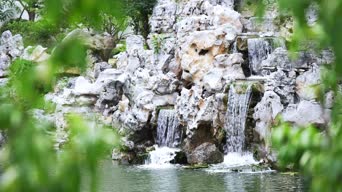 旅拍风景,美景,植物,花,树木,全景