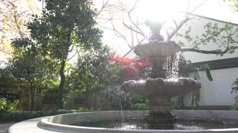 配音,树木,植物,全景