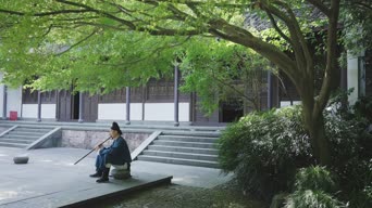 旅拍风景,配音,树木,植物,全景