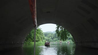 旅拍风景,美景,大自然,树木,植物,全景