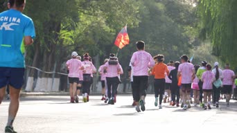 全民运动,衣服,树木,跳舞,全景