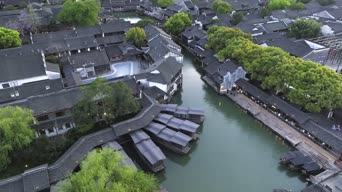 旅拍风景,配音,知识,树木,植物,河流,全景