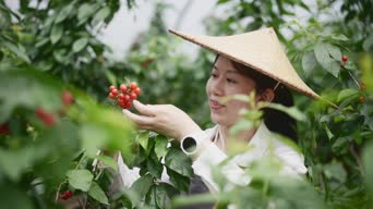 乡村生活,鲜花,女神,植物,花,植物,树木,全景