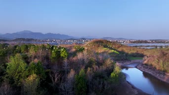 旅拍风景,美景,大自然,旅拍,树木,植物,全景