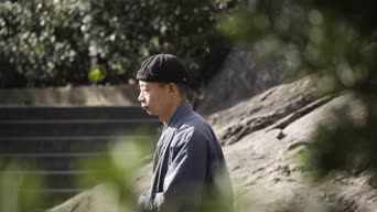 家具,汽车周边,衣服,树木,全景