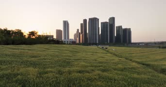 旅拍风景,城市,高楼,树木,植物,高楼大厦,全景