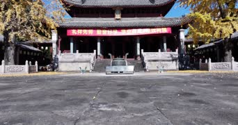 旅拍风景,配音,知识,树木,全景,礼拜