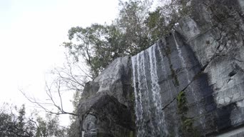 旅拍风景,配音,树木,植物,瀑布