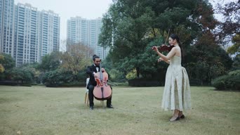 乐器演奏,配音,知识,照片,衣服,树木,植物,全景
