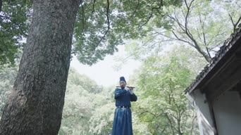 乐器演奏,美景,大自然,vlog,树木,植物,衣服