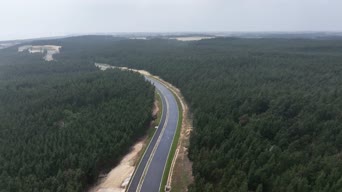 旅拍风景,美景,旅拍,大自然,树木,全景