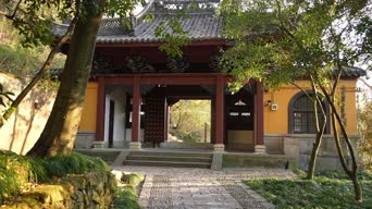 旅拍风景,配音,树木,植物,全景