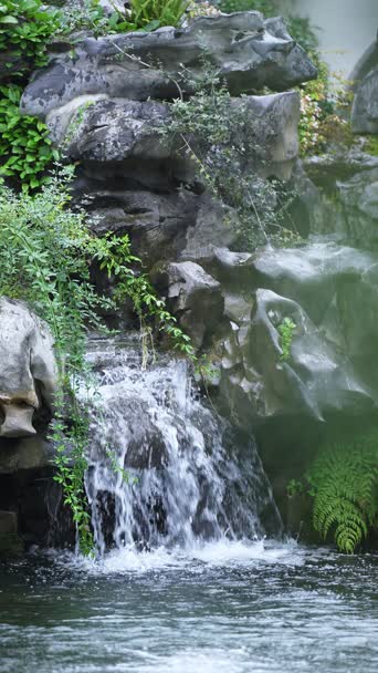 旅拍风景,美景,大自然,植物,树木,瀑布,全景