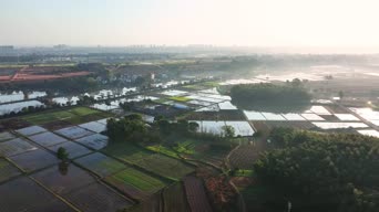旅拍风景,美景,大自然,树木,全景