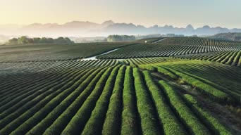 旅拍风景,旅拍,美景,大自然,全景