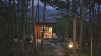 旅拍风景,配音,树木,植物,全景