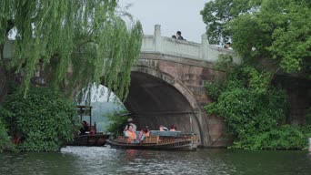 旅拍风景,配音,知识,树木,植物,全景